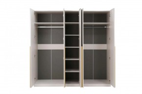 НИКОЛЬ 25 Шкаф 5-ти створчатый в Уфе - ufa.mebel24.online | фото 3