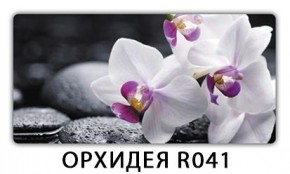 Обеденный стол Паук с фотопечатью узор Плита Р416 в Уфе - ufa.mebel24.online | фото 21