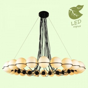 Подвесная люстра Lussole Seneca GRLSP-8176 в Уфе - ufa.mebel24.online | фото 3