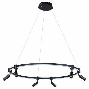 Подвесной светильник Arte Lamp Ring A2186SP-1BK в Уфе - ufa.mebel24.online | фото 2