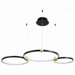 Подвесной светильник Divinare Amadeo 1123/04 SP-75 в Уфе - ufa.mebel24.online | фото