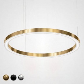 Подвесной светильник Imperiumloft Light Ring Horizontal 40.1454-120 в Уфе - ufa.mebel24.online | фото