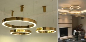 Подвесной светильник Imperiumloft Light Ring Horizontal 40.1454-80 в Уфе - ufa.mebel24.online | фото 2
