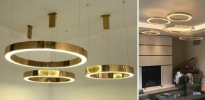 Подвесной светильник Imperiumloft Light Ring Horizontal 40.1454-80 в Уфе - ufa.mebel24.online | фото 3