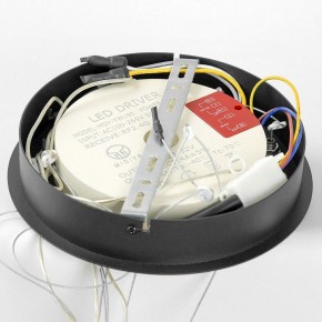 Подвесной светильник Lussole Hale LSP-7380 в Уфе - ufa.mebel24.online | фото 6