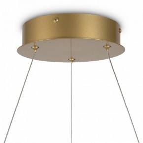 Подвесной светильник Maytoni Halo MOD100PL-L88BSK1 в Уфе - ufa.mebel24.online | фото 6