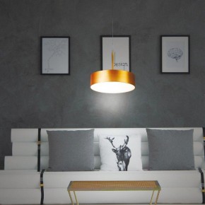 Подвесной светильник Novotech Prometa 358766 в Уфе - ufa.mebel24.online | фото 4