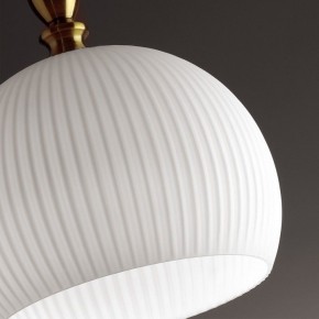 Подвесной светильник Odeon Light Runga 4766/1 в Уфе - ufa.mebel24.online | фото 8