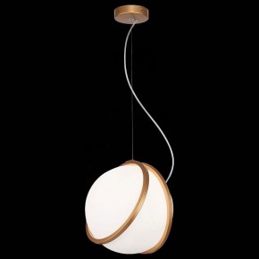 Подвесной светильник ST-Luce Acerra SL1181.353.01 в Уфе - ufa.mebel24.online | фото 4