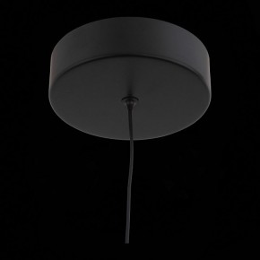 Подвесной светильник ST-Luce Bisaria SL393.403.01 в Уфе - ufa.mebel24.online | фото 8