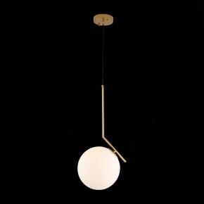 Подвесной светильник ST-Luce Codda SL1148.303.01 в Уфе - ufa.mebel24.online | фото 5