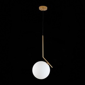Подвесной светильник ST-Luce Codda SL1148.303.01 в Уфе - ufa.mebel24.online | фото 6
