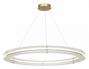 Подвесной светильник ST-Luce FAGY SL6245.213.01 в Уфе - ufa.mebel24.online | фото 4