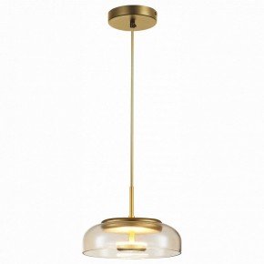 Подвесной светильник ST-Luce Lacio SL6002.203.01 в Уфе - ufa.mebel24.online | фото