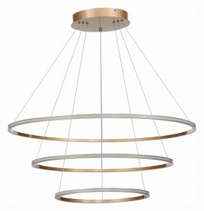 Подвесной светильник ST-Luce ST604 OUT ST604.243.114 в Уфе - ufa.mebel24.online | фото 2