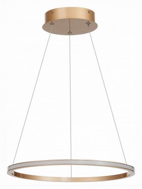 Подвесной светильник ST-Luce ST604 OUT ST604.243.22 в Уфе - ufa.mebel24.online | фото 2
