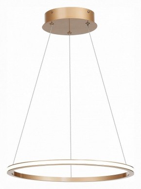 Подвесной светильник ST-Luce ST604 OUT ST604.243.22 в Уфе - ufa.mebel24.online | фото 3