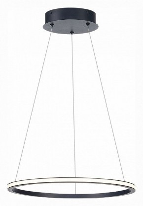 Подвесной светильник ST-Luce ST604 OUT ST604.443.22 в Уфе - ufa.mebel24.online | фото 3