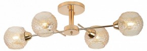 Потолочная люстра Rivoli Amalia Б0050815 в Уфе - ufa.mebel24.online | фото 2