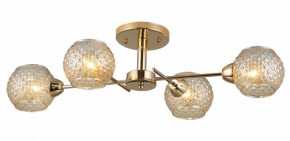 Потолочная люстра Rivoli Amalia Б0050815 в Уфе - ufa.mebel24.online | фото 3