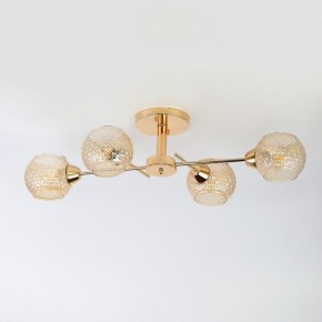 Потолочная люстра Rivoli Amalia Б0050815 в Уфе - ufa.mebel24.online | фото 5