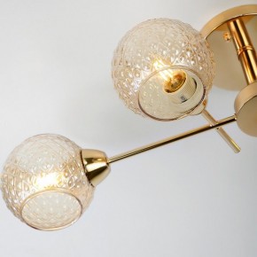 Потолочная люстра Rivoli Amalia Б0050815 в Уфе - ufa.mebel24.online | фото 8