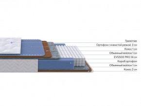 PROxSON Матрас Active Duo M/F (Ткань Трикотаж Эко) 80x200 в Уфе - ufa.mebel24.online | фото 2