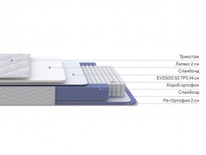 PROxSON Матрас Active Duo S/F (Ткань Трикотаж Эко) 120x195 в Уфе - ufa.mebel24.online | фото 2