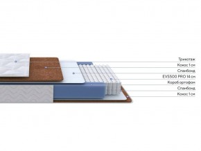 PROxSON Матрас Active F Roll (Ткань Трикотаж Эко) 160x195 в Уфе - ufa.mebel24.online | фото 2