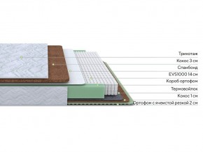 PROxSON Матрас Green Duo M/F (Tricotage Dream) 90x190 в Уфе - ufa.mebel24.online | фото 3