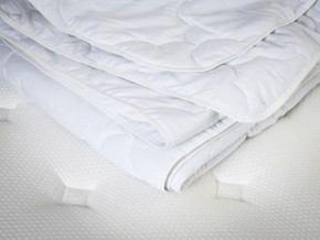 PROxSON Одеяло лёгкое PROSON (Стеганное полотно) 140x200 в Уфе - ufa.mebel24.online | фото 5