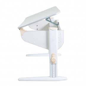 Растущая парта Дэми Parta 5/100 (Сут 46) в Уфе - ufa.mebel24.online | фото 2