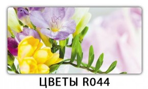 Раздвижной СТ Бриз орхидея R041 Доска D110 в Уфе - ufa.mebel24.online | фото 12