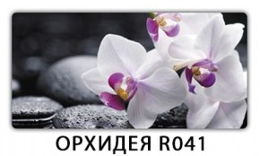 Раздвижной СТ Бриз орхидея R041 Доска D110 в Уфе - ufa.mebel24.online | фото 19