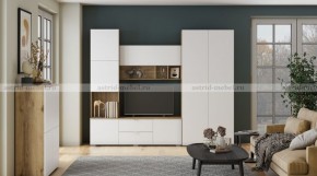 МИЛАН-1 Секция ТВ (ЦРК.МЛН.01 секция ТВ) в Уфе - ufa.mebel24.online | фото 3