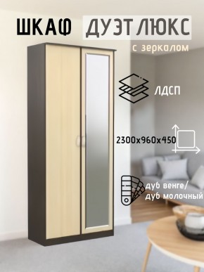Шкаф 2-х створчатый Дуэт Люкс с зеркалом в Уфе - ufa.mebel24.online | фото