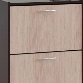 Шкаф для обуви ТО-24 в Уфе - ufa.mebel24.online | фото 4