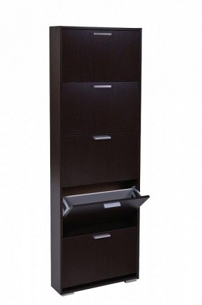 Шкаф для обуви УК-5 10000130 в Уфе - ufa.mebel24.online | фото