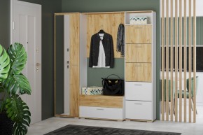 Шкаф для одежды НМ 013.40 "Санти" (Белый/Крафт Золотой) в Уфе - ufa.mebel24.online | фото 3