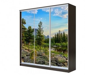 Шкаф-купе ХИТ 22-4-20-777 (420) в Уфе - ufa.mebel24.online | фото