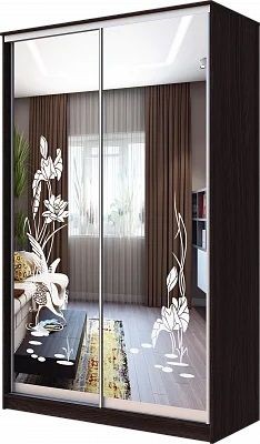 Шкаф-купе ХИТ 23-4-12/2-66 ЦАПЛИ в Уфе - ufa.mebel24.online | фото