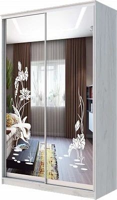 Шкаф-купе ХИТ 24-14-66 ЦАПЛИ в Уфе - ufa.mebel24.online | фото