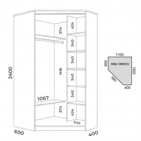 Шкаф-купе ХИТ-У-L-24-64-11 в Уфе - ufa.mebel24.online | фото 3