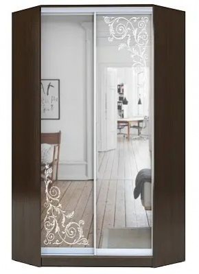 Шкаф-купе ХИТ-У-R-22-64-66 ОРНАМЕНТ в Уфе - ufa.mebel24.online | фото