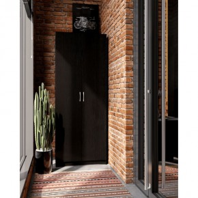 Шкаф ПЕГАС двухдверный, цвет Дуб Венге в Уфе - ufa.mebel24.online | фото 4