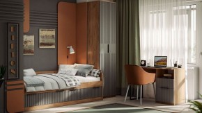Шкаф платяной Хилтон Исп. 2 в Уфе - ufa.mebel24.online | фото 5