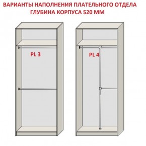 Шкаф распашной серия «ЗЕВС» (PL3/С1/PL2) Серый камень/Небраска натуральный в Уфе - ufa.mebel24.online | фото 10