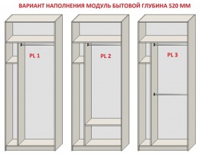 Шкаф распашной серия «ЗЕВС» (PL3/С1/PL2) Серый камень/Небраска натуральный в Уфе - ufa.mebel24.online | фото 5