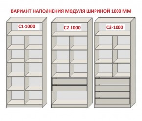 Шкаф распашной серия «ЗЕВС» (PL3/С1/PL2) Серый камень/Небраска натуральный в Уфе - ufa.mebel24.online | фото 7