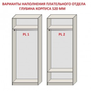 Шкаф распашной серия «ЗЕВС» (PL3/С1/PL2) Серый камень/Небраска натуральный в Уфе - ufa.mebel24.online | фото 9